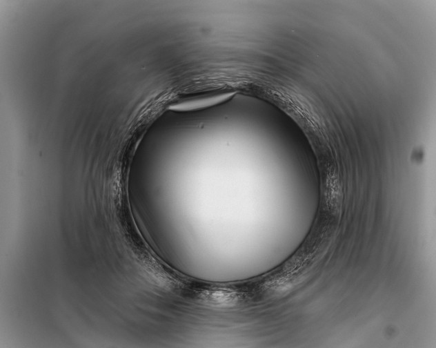 X0000097970506200804071102