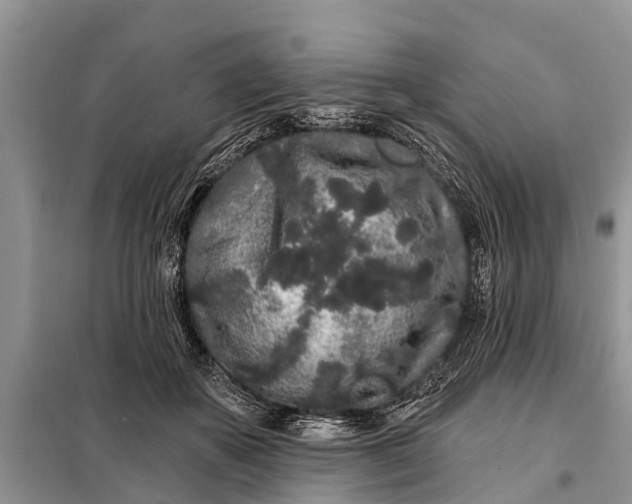 X0000097970507200804071102