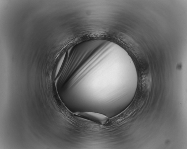 X0000097970508200804071102