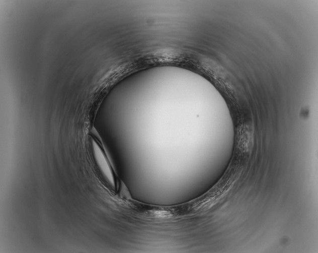 X0000097970509200804071102