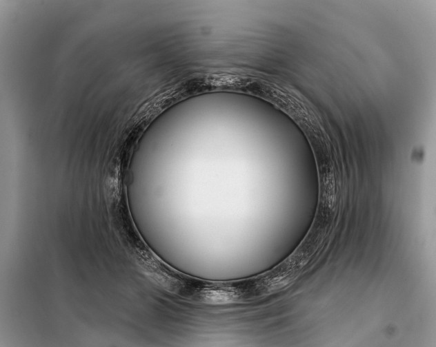 X0000097970510200804071102