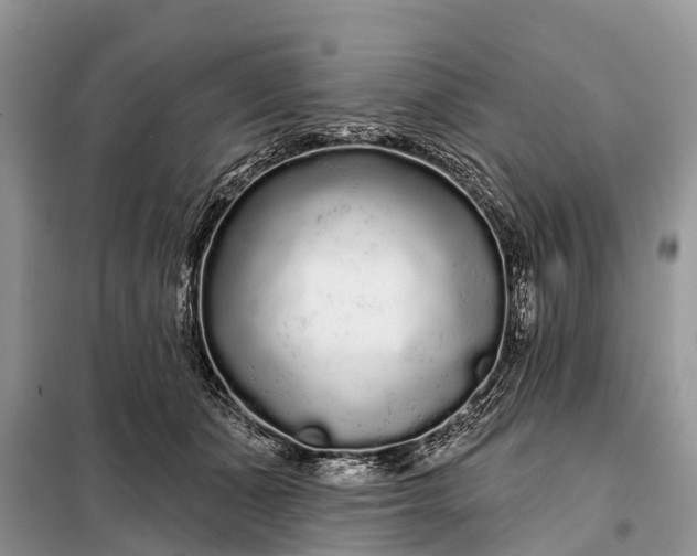 X0000097970511200804071102