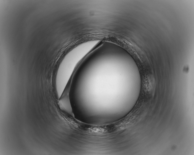 X0000097970512200804071102