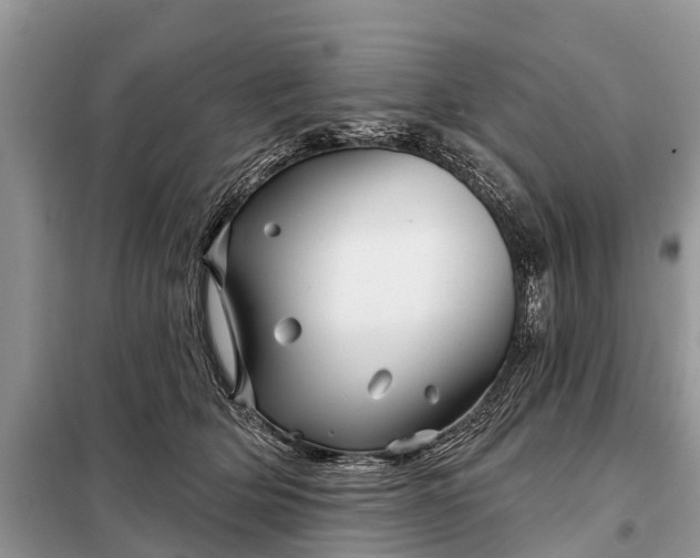 X0000097970514200804071102