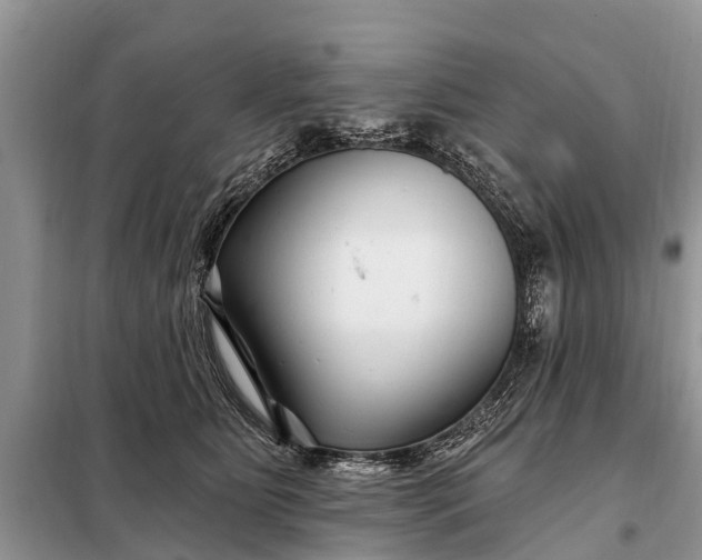 X0000097970515200804071102