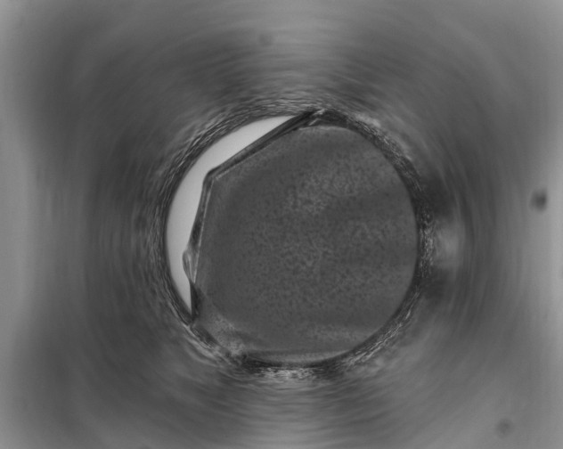 X0000097970517200804071102