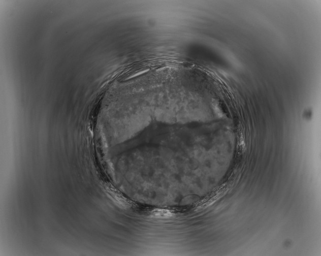 X0000097970519200804071102