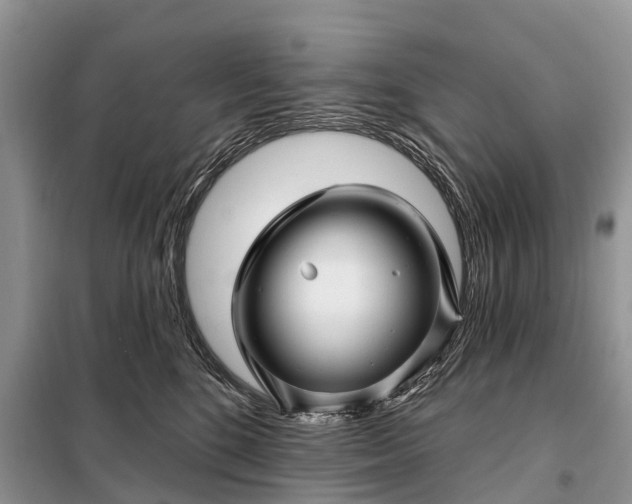 X0000097970520200804071102