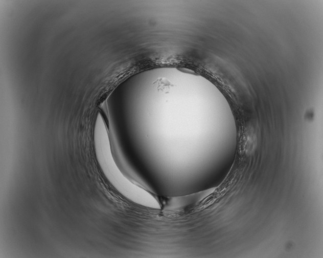 X0000097970521200804071102