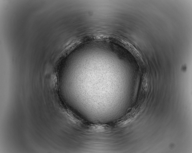 X0000097970523200804071102