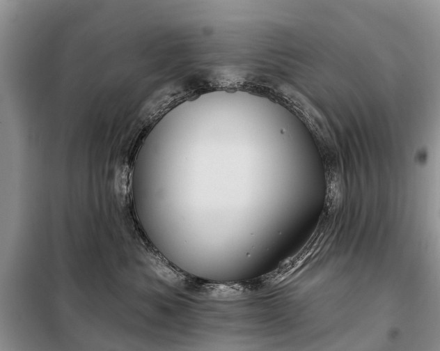 X0000097970525200804071102