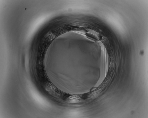 X0000097970526200804071102