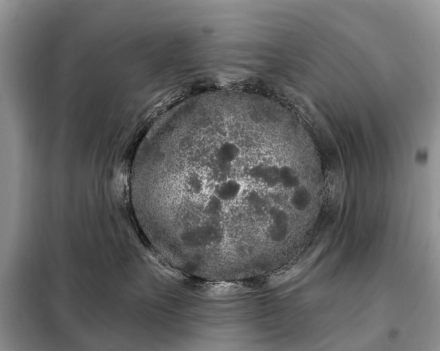 X0000097970527200804071102