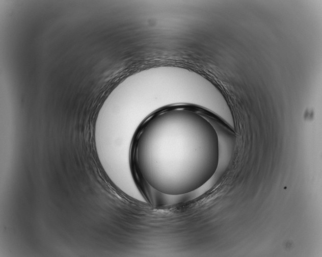 X0000097970528200804071102