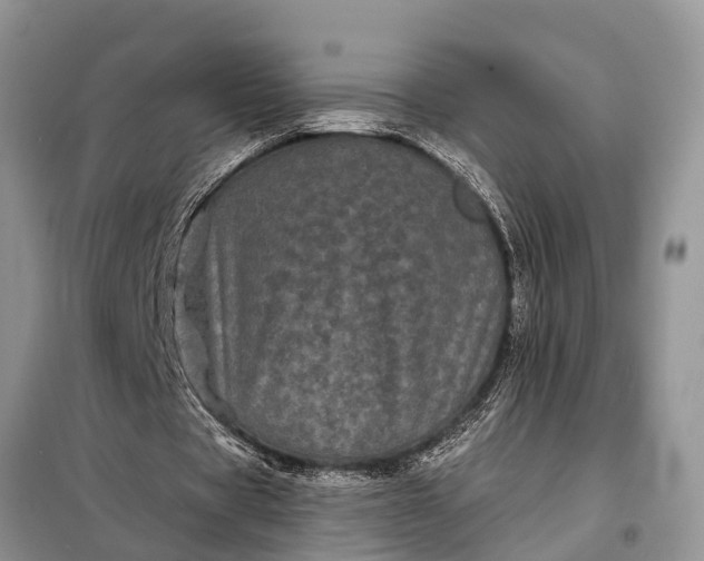 X0000097970529200804071101