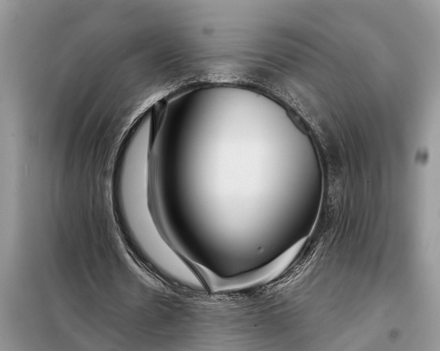 X0000097970530200804071101