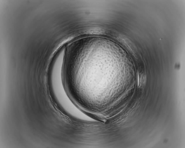 X0000097970531200804071101