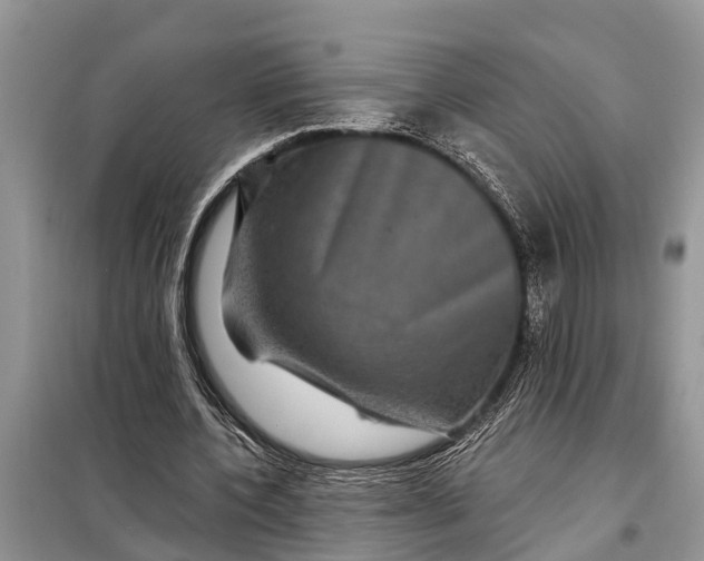 X0000097970532200804071101