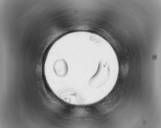 X0000097970534200804071101