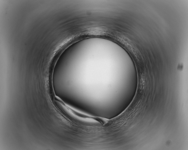 X0000097970535200804071101