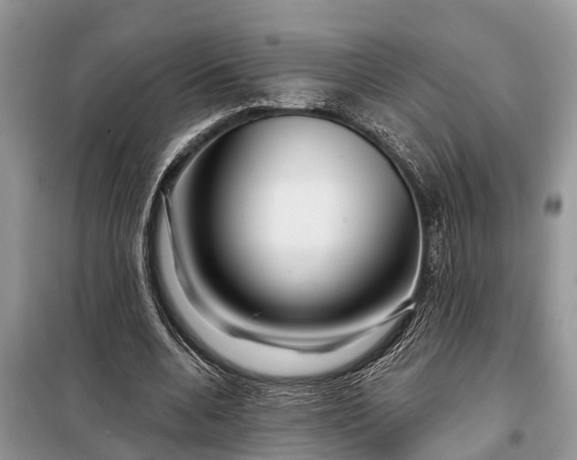 X0000097970536200804071101