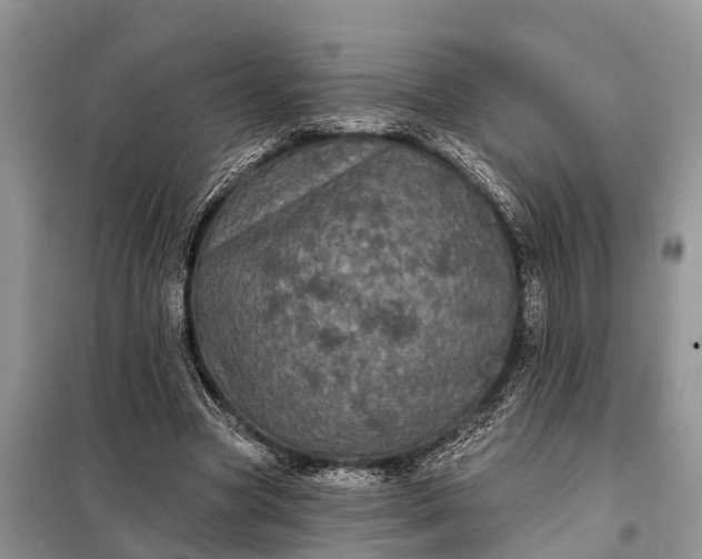 X0000097970537200804071101