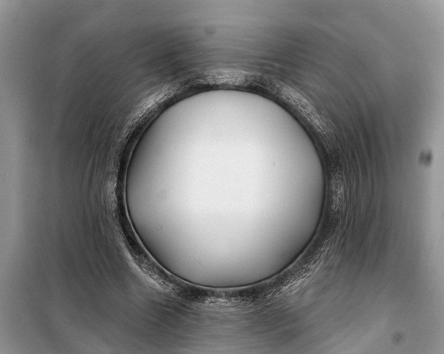 X0000097970538200804071101