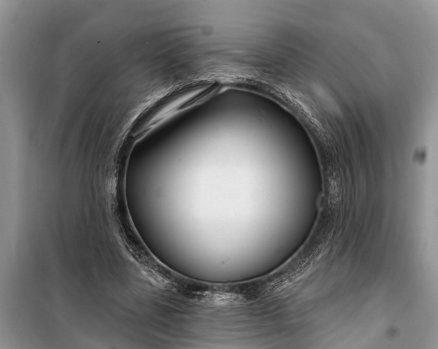 X0000097970539200804071101