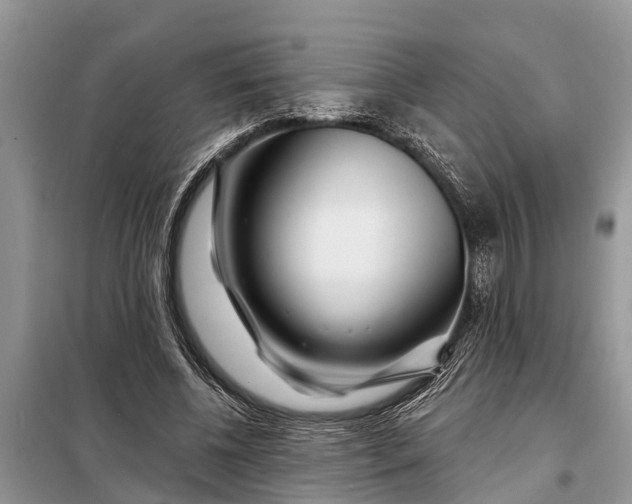 X0000097970540200804071101