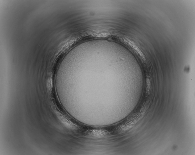 X0000097970541200804071101