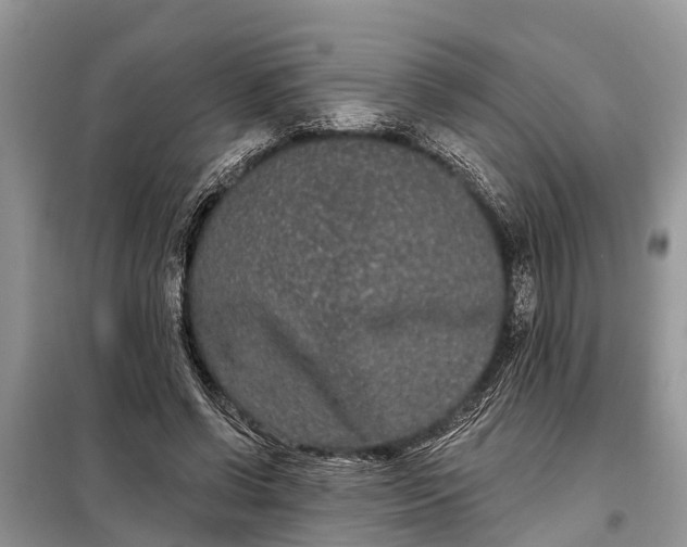 X0000097970542200804071101