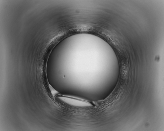 X0000097970543200804071101