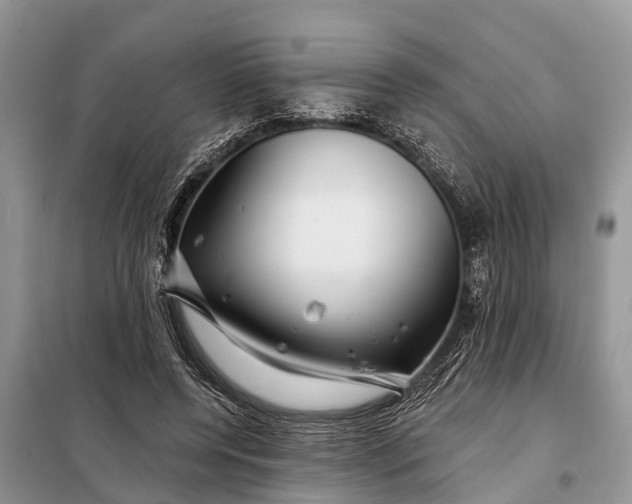 X0000097970544200804071101