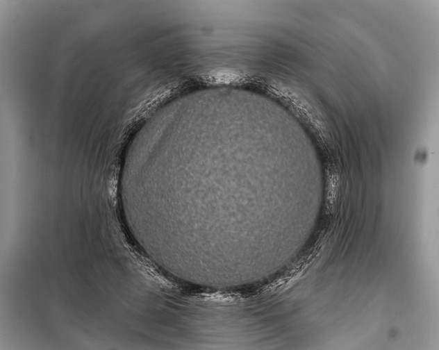 X0000097970545200804071101