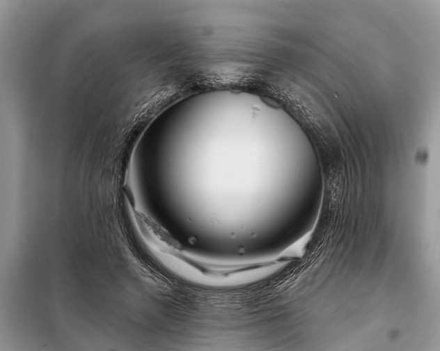 X0000097970546200804071101