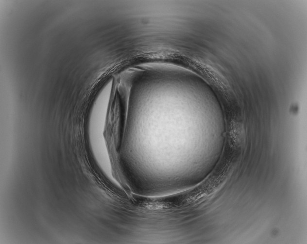 X0000097970547200804071101