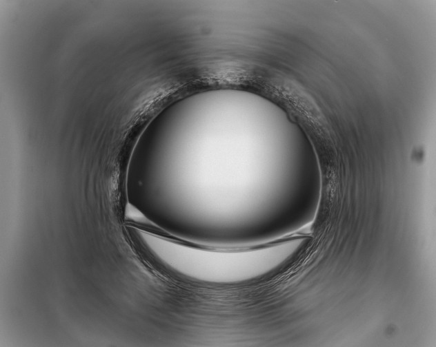 X0000097970548200804071101