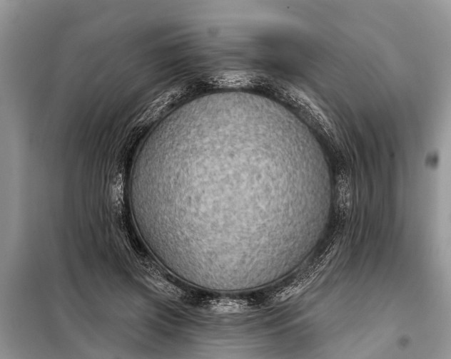 X0000097970549200804071101