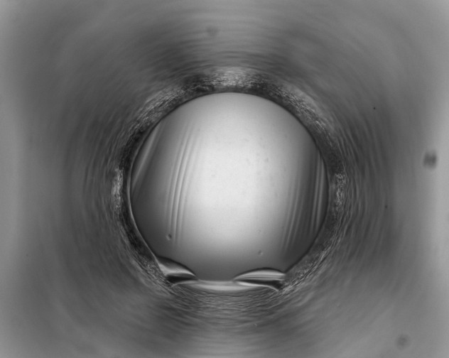 X0000097970550200804071101