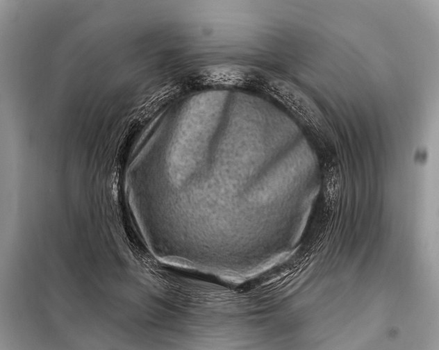 X0000097970551200804071101