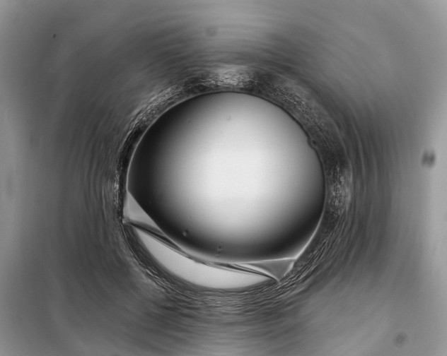 X0000097970552200804071101