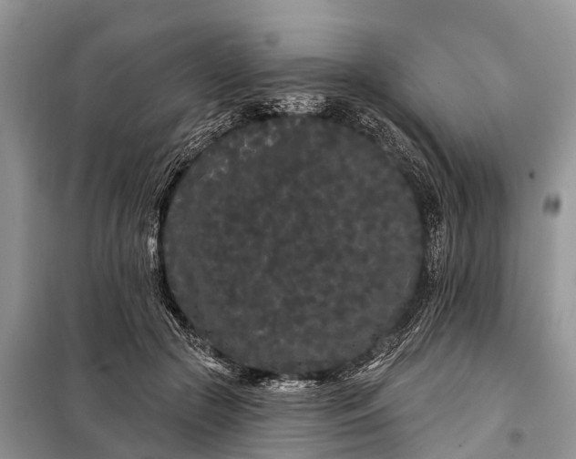 X0000097970553200804071101