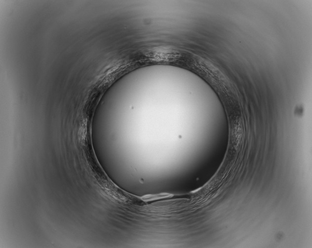 X0000097970554200804071101