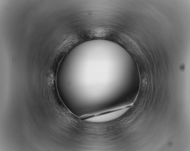 X0000097970555200804071101