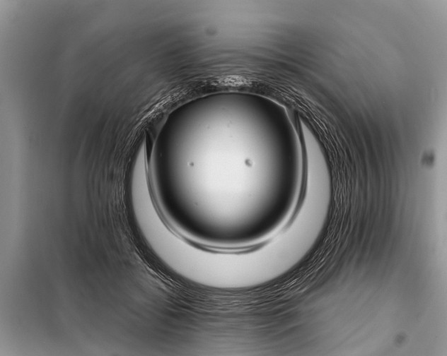 X0000097970556200804071101