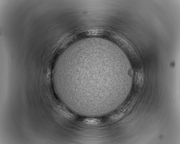 X0000097970557200804071101