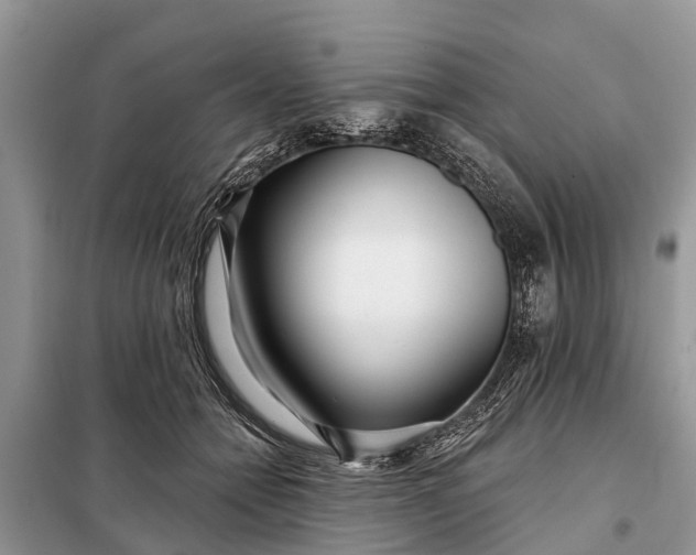 X0000097970558200804071101