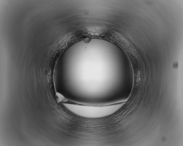 X0000097970559200804071101