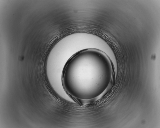 X0000097970560200804071101