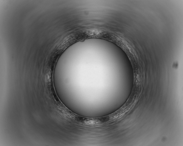 X0000097970561200804071101